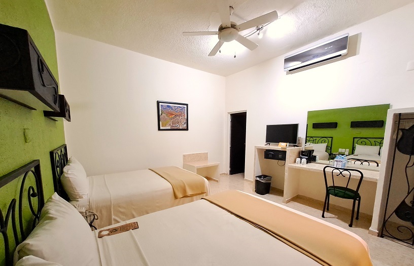 MAYA TULIPANES EXPRESS